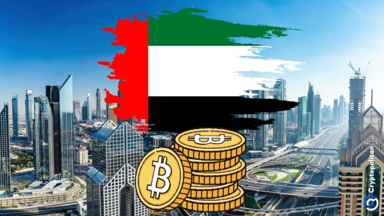 Dubai consentirà il pagamento delle commissioni sui servizi governativi tramite criptovalute