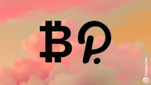 Polkadot community members pitch Bitcoin as treasury stability strategy