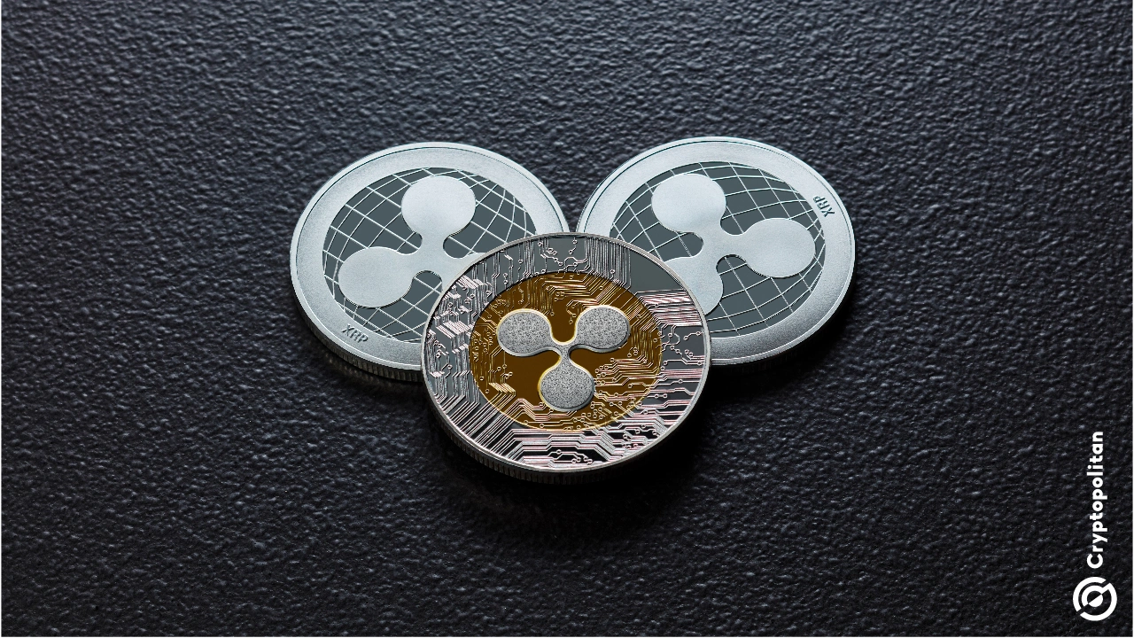 Bloomberg повысил вероятность одобрения заявок на спотовые ETF XRP, Dogecoinи Cardano до 90%