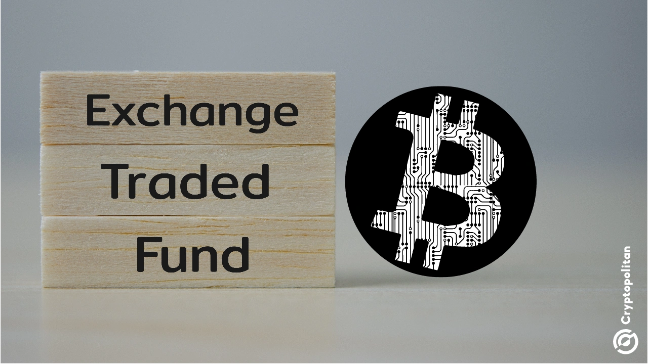 Spot Bitcoin ETFs see longest streak of weekly outflows since launch