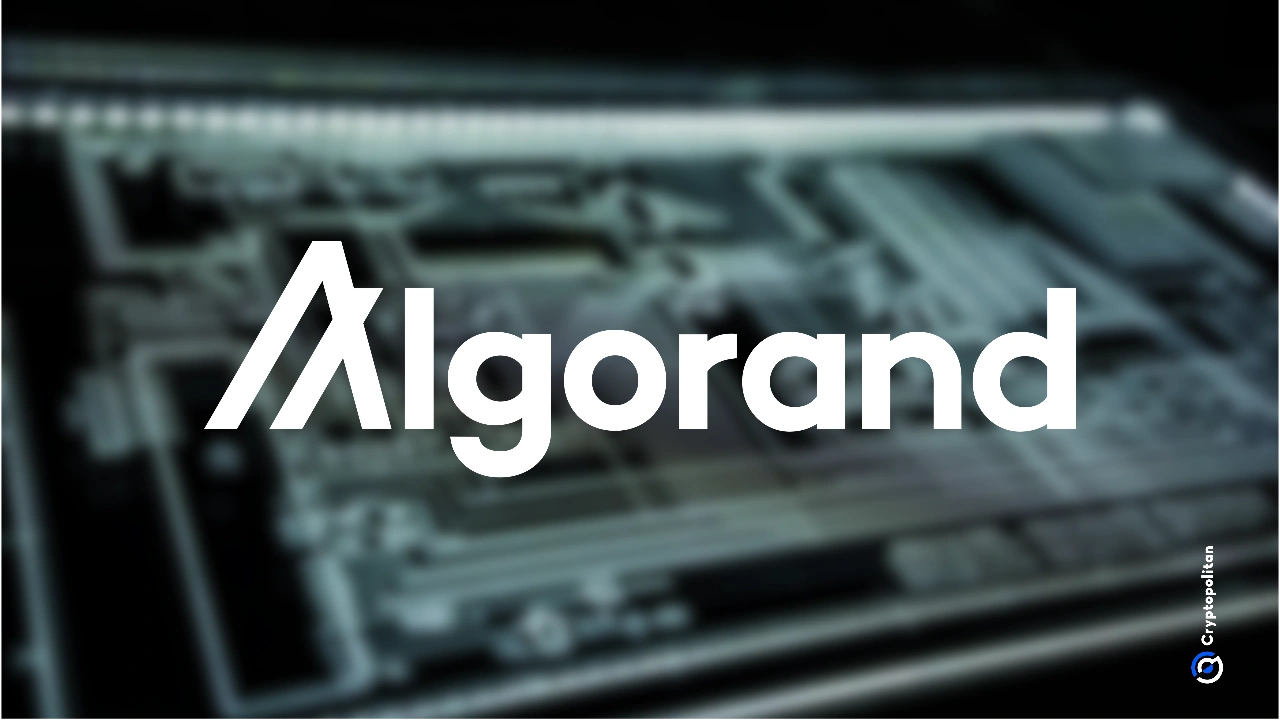 Algorand reveals bold roadmap as token sinks 93% from all-time high