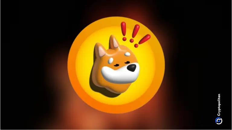 انخفض سعر صرف عملة BONK بنسبة 11% مع تدفق عمليات التحويلات عبر العملات الأجنبية بشكل كبير في الأسواق