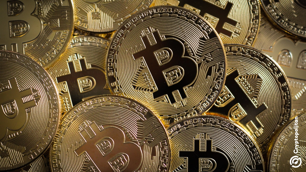 Financial advisor says Bitcoin could hit $500k if global assets shift just one percent