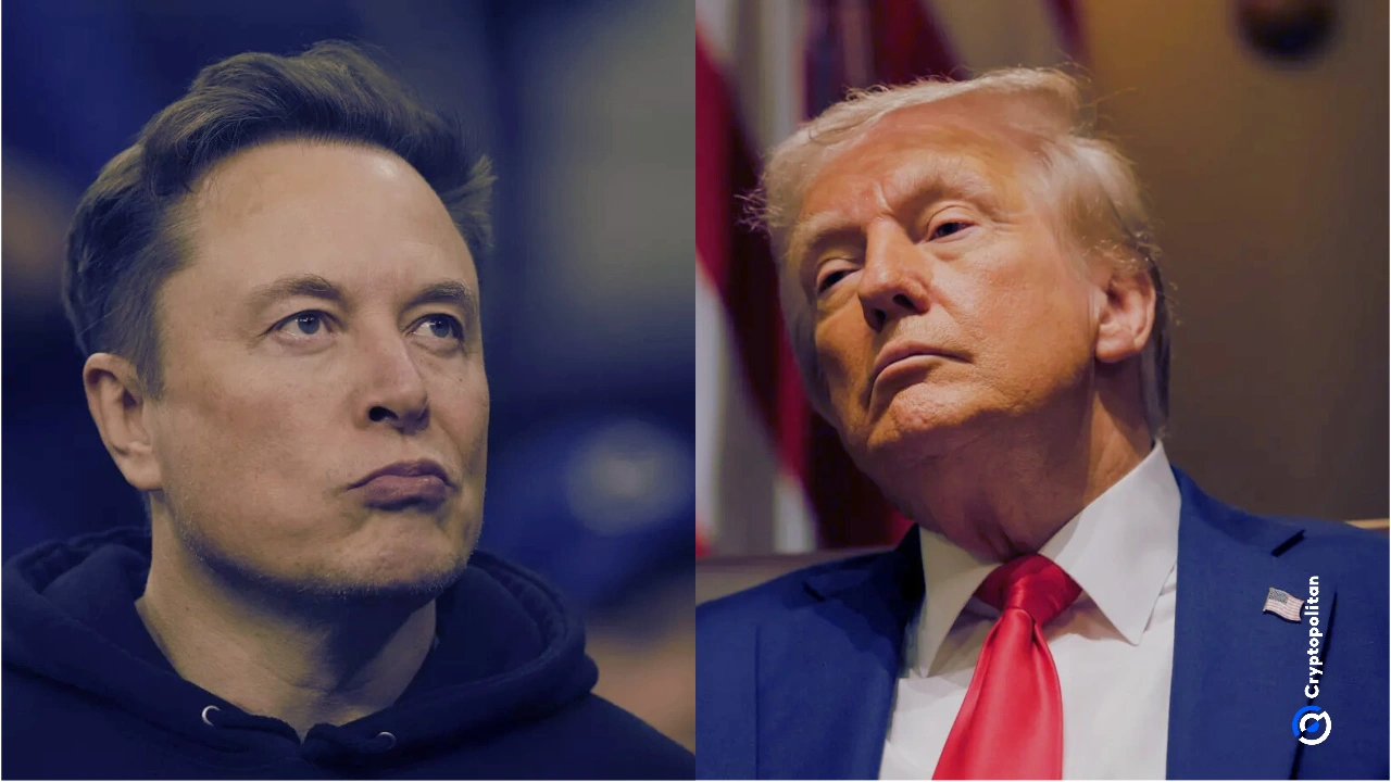 Elon Musk sagt, er bedauere einige seiner Beiträge über Trump aus der vergangenen Woche.
