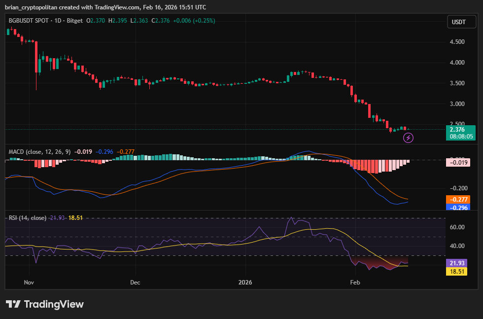 График цены BGBUSD от TradingView
