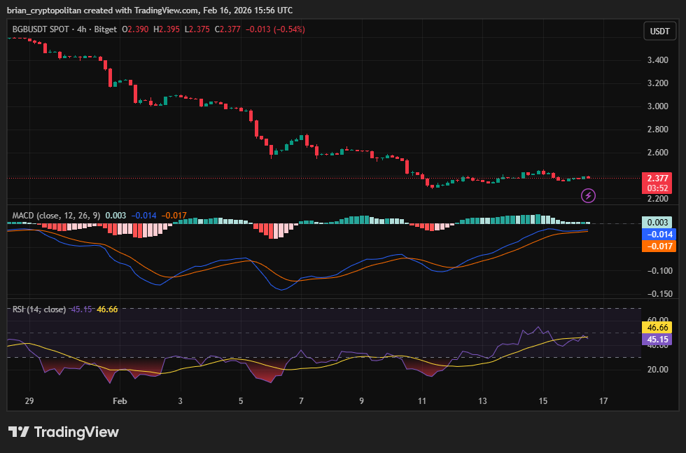 График цены BGBUSD от TradingView