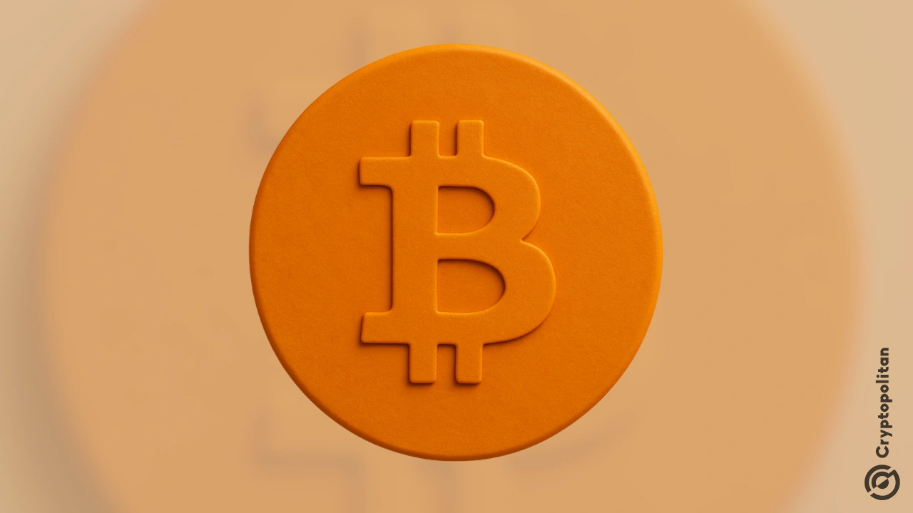 美国在 Bitcoin 算力方面领先,而俄罗斯和中国则实现了两位数的增长。.