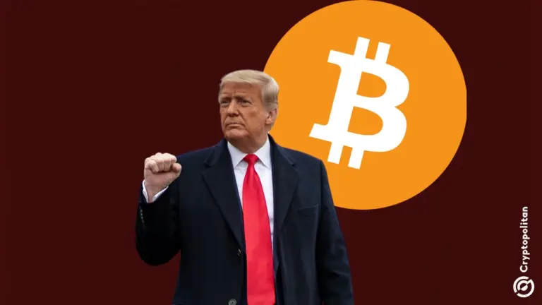 يعتزم ترامب استخدام عائدات الرسوم الجمركية لشراء المزيد من Bitcoin.