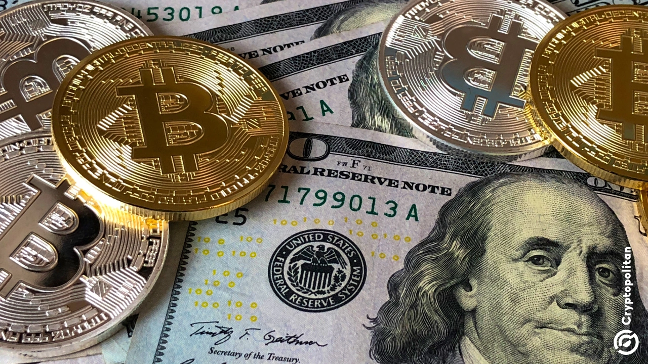 Global institutions profit off supporting $100 billion crypto treasury rush