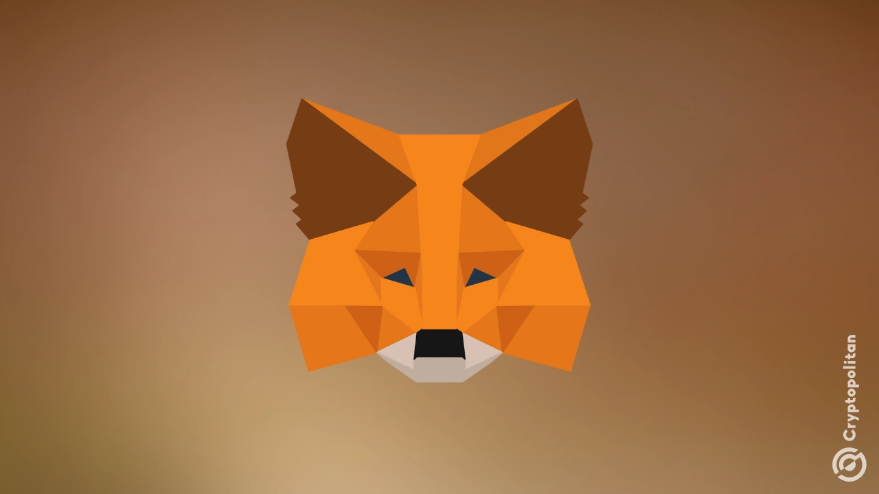 MetaMask finally commits to token launch; sort of