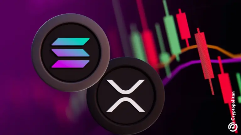 Solana &amp; XRP verzeichnen einen Kursrückgang von 5 % – verkaufen Händler ihre Produkte oder realisieren sie nur Gewinne?