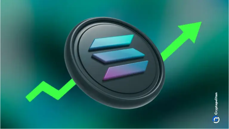 Será que os novos memes ainda estão em alta? Os traders podem estar criando tráfego falso em Solana