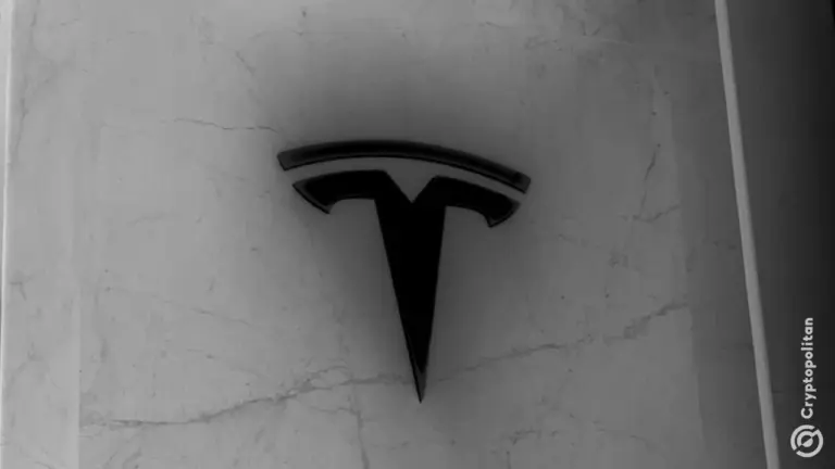 Tesla struggles in India as Model Y orders fall amid tariff impact