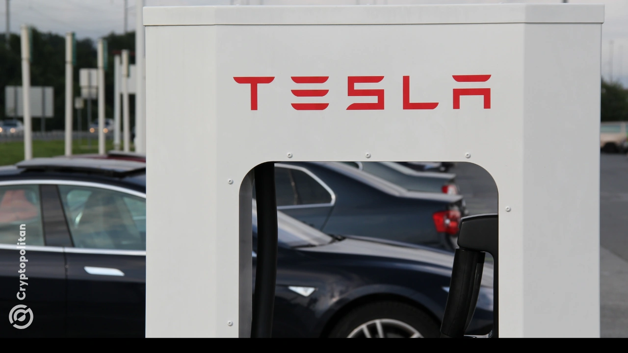 Die Tesla-Aktie ist im laufenden Monat um 30 % gestiegen, da Anleger stark auf Elon Musks Comeback setzen