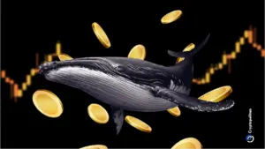 Whales are still moving funds through Nobitex