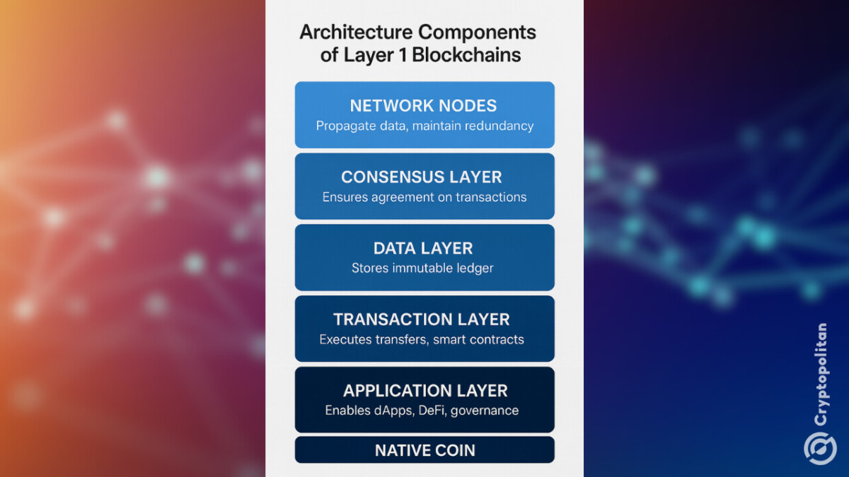Die Rolle der Layer-1-Chains in der Blockchain