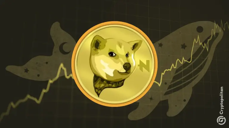 大規模なクジラが Ethereum上でNEIROを移動していますが、ミームトークンがクラッシュする可能性がありますか？