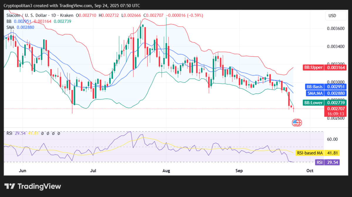 SC/USD 1日の価格チャート。.