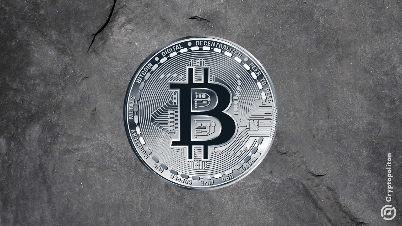 特朗普支持的美国 Bitcoin投资者最新购入比特币,使其投资组合达到 3,865 个比特币。