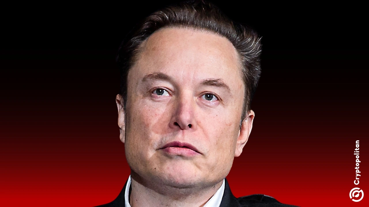 Elon said most crypto projects are scams during his OpenAI testimony