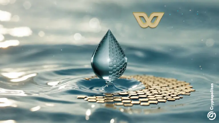 WATER150 (W150) объяснила суть проекта RWA по токенизации высококачественной родниковой воды на 150 лет.