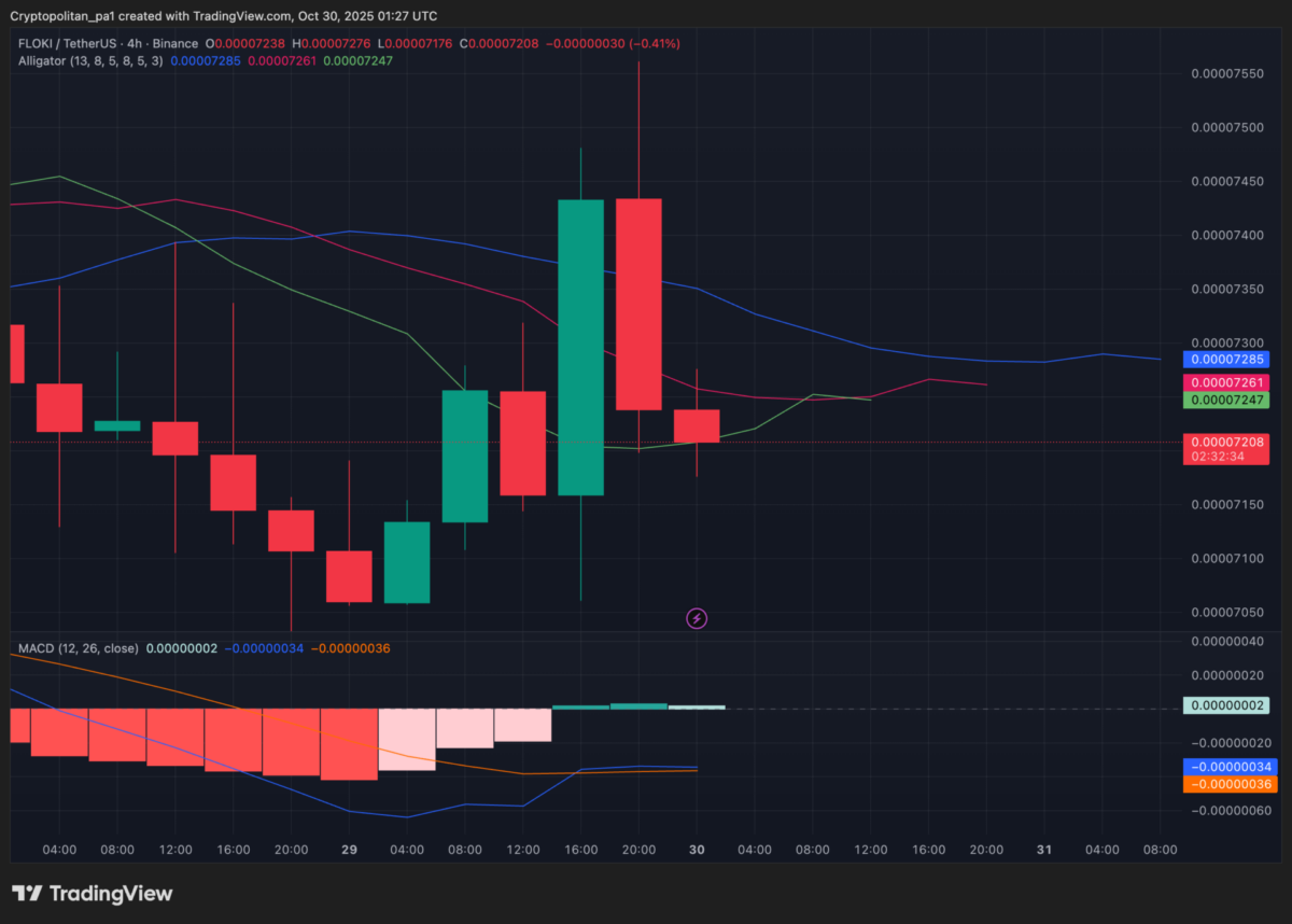 FLOKI/USD 4-hour chart