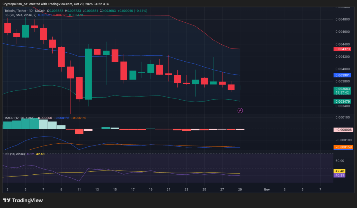 TEL/USD 1-day chart