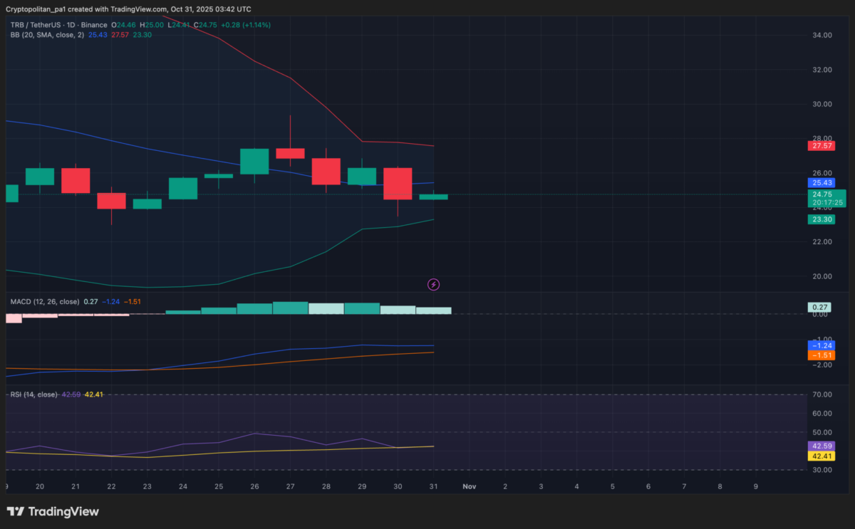 TRB/USD 1-day chart