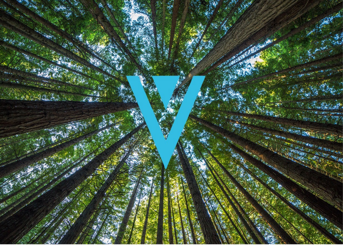 xvg