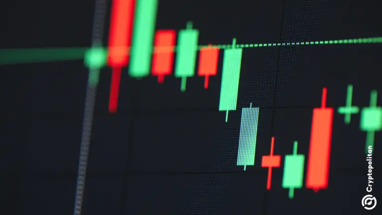 Половина запусков токенов Cabal Meme происходит в США