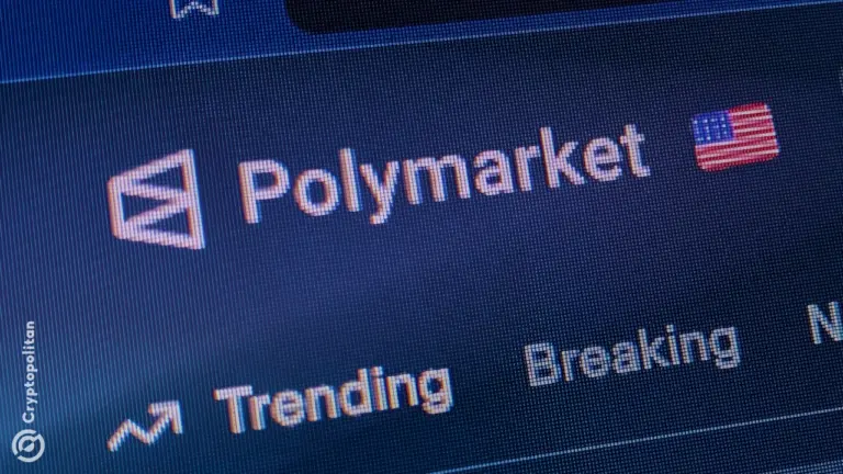 Polymarket лидирует благодаря активности платформы, направляющей объемы в Polygon