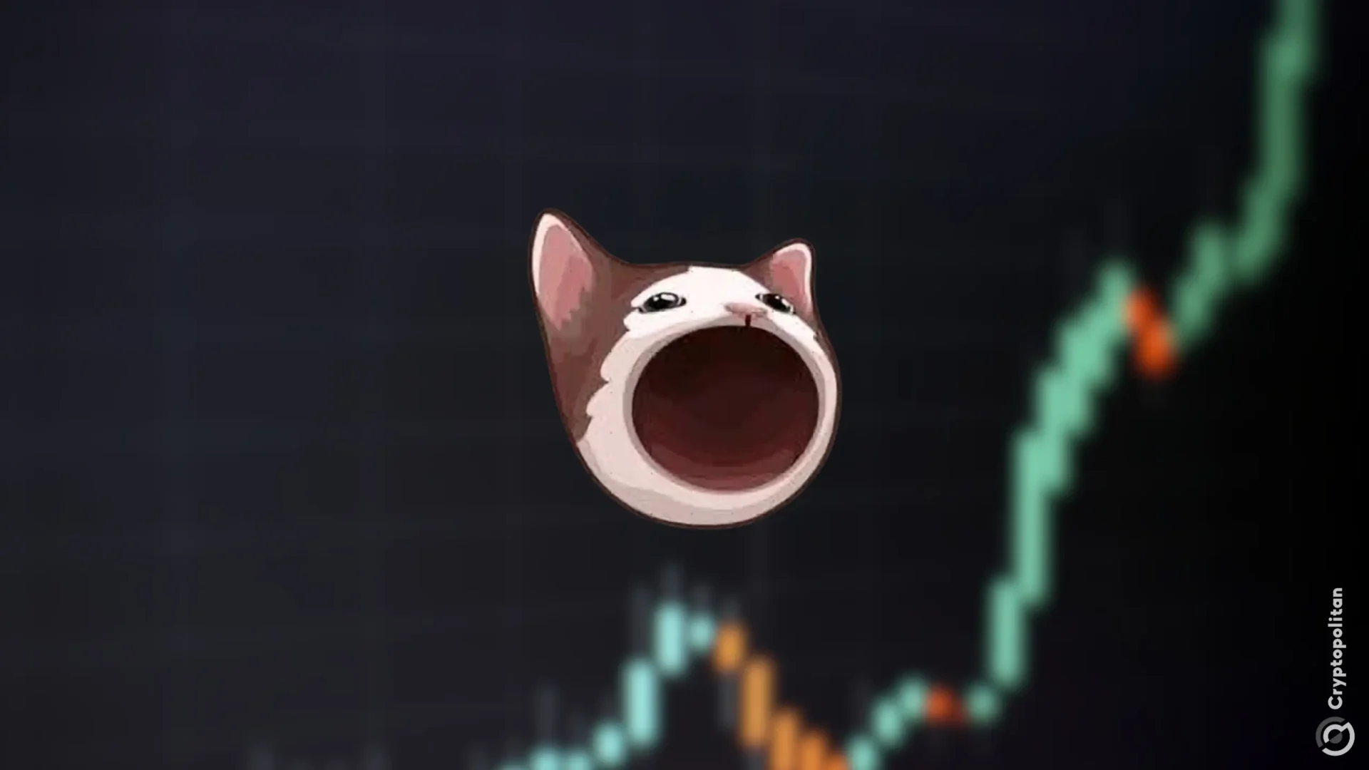 POPCAT、Hyperliquid投機後に暴落