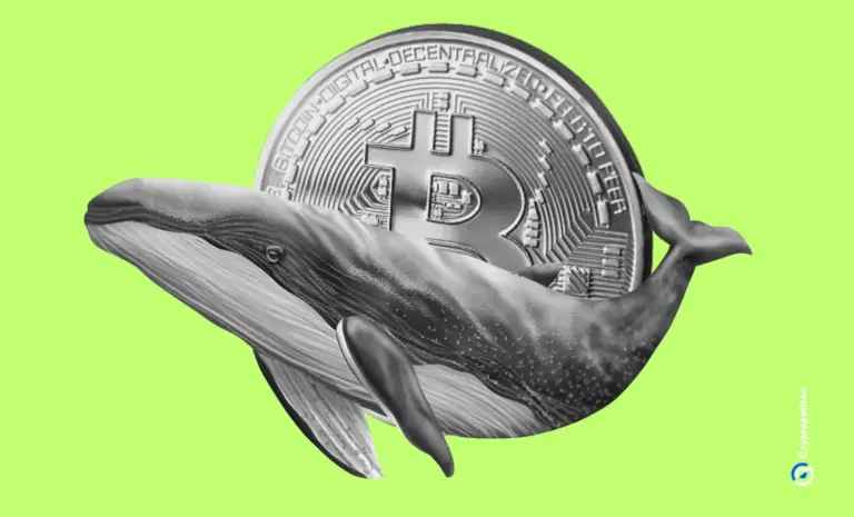 La corsa alle vendite delle balene Bitcoin è ora correlata alle oscillazioni dei prezzi al ribasso.