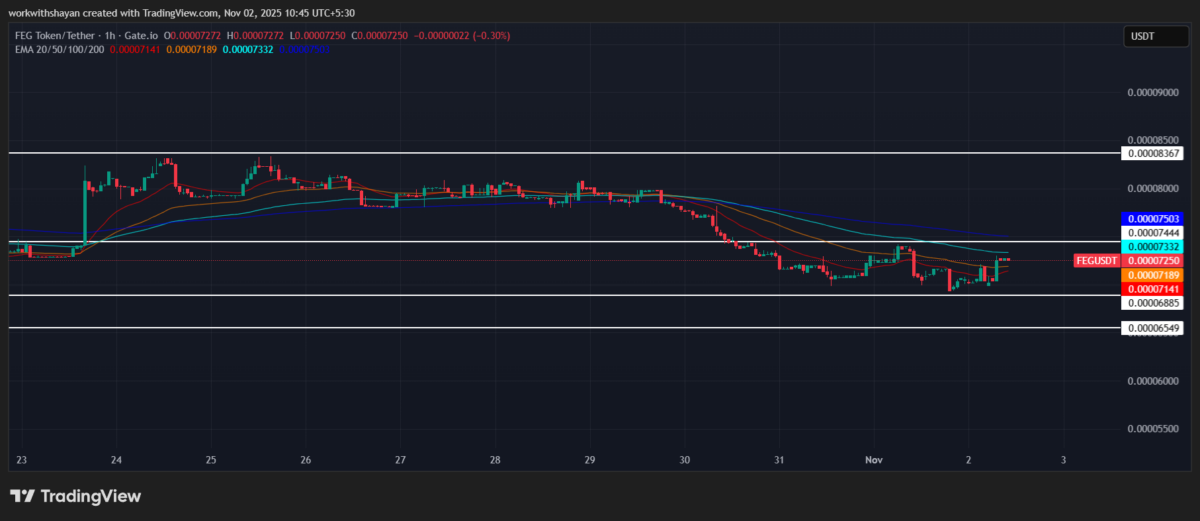Grafico FEG/USDT di TradingView