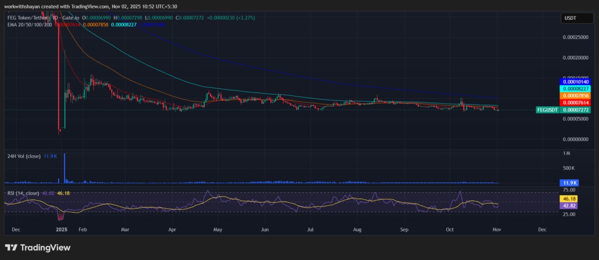 Grafico FEG/USDT di TradingView