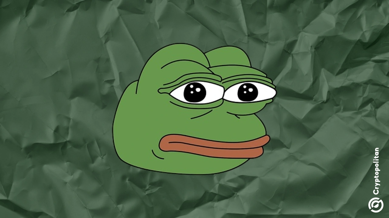 حالة طوارئ أمنية: تم اختراق موقع Pepe بواسطة برنامج Inferno Drainer الخبيث