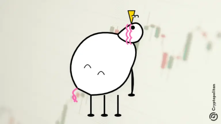 PIPPIN은 숏 스퀴즈 이후 0.50달러로 사상 최고가를 경신했습니다.