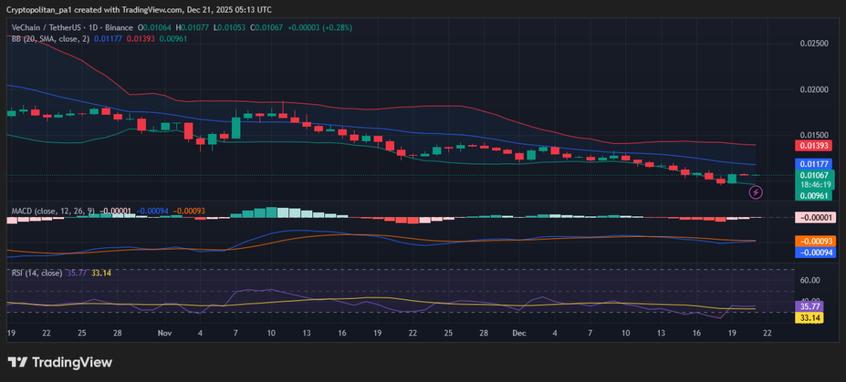 Grafico dei prezzi VET/USDT: TradingView