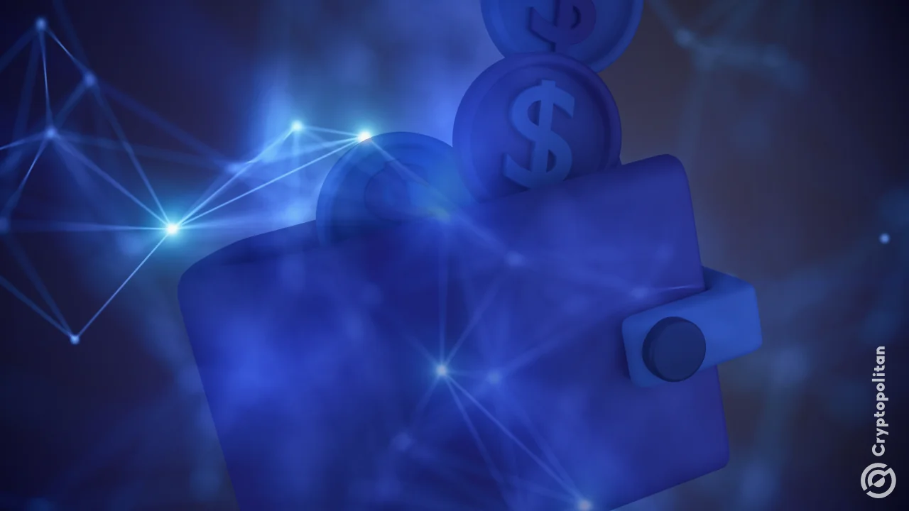 Знакомство с кошельками для стейблкоинов: USDT, USDC и другие.