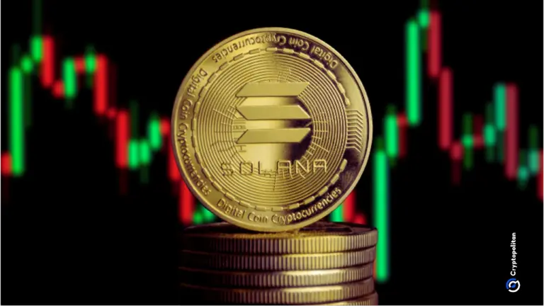 WisdomTree brings tokenized funds to Solana in push for wider investor access