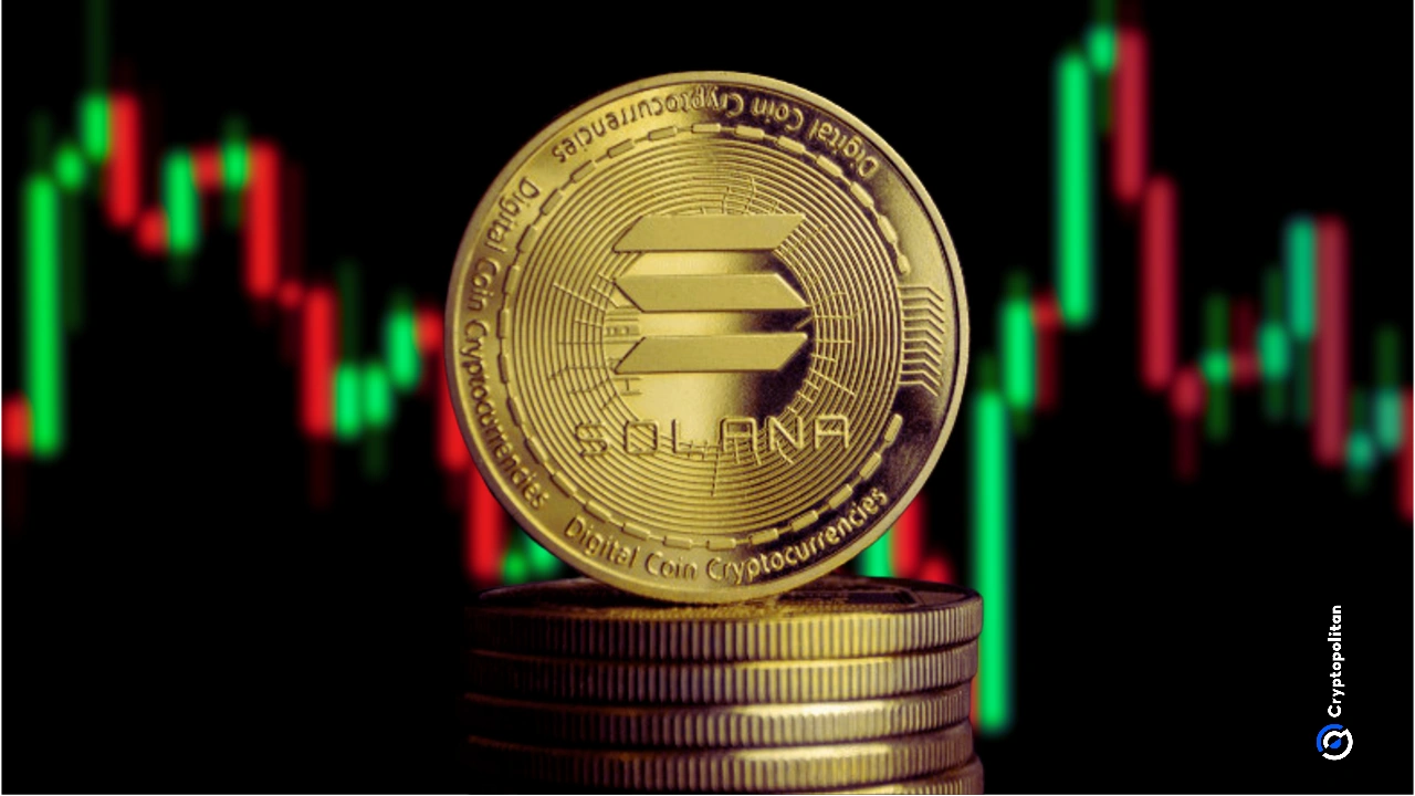WisdomTree brings tokenized funds to Solana in push for wider investor access