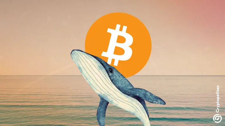 Bitcoin Wale erhöhen ihre Positionen in BTC-Call-Optionen auf 100.000 US-Dollar in Erwartung einer neuen Rallye nach Trumps Amtsantritt am 20. Januar