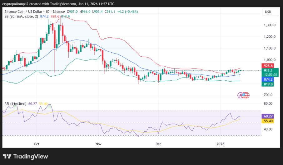 Grafico dei prezzi BNB/USD.