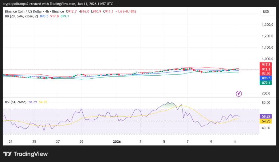 Grafico dei prezzi BNB/USD a 4 ore.
