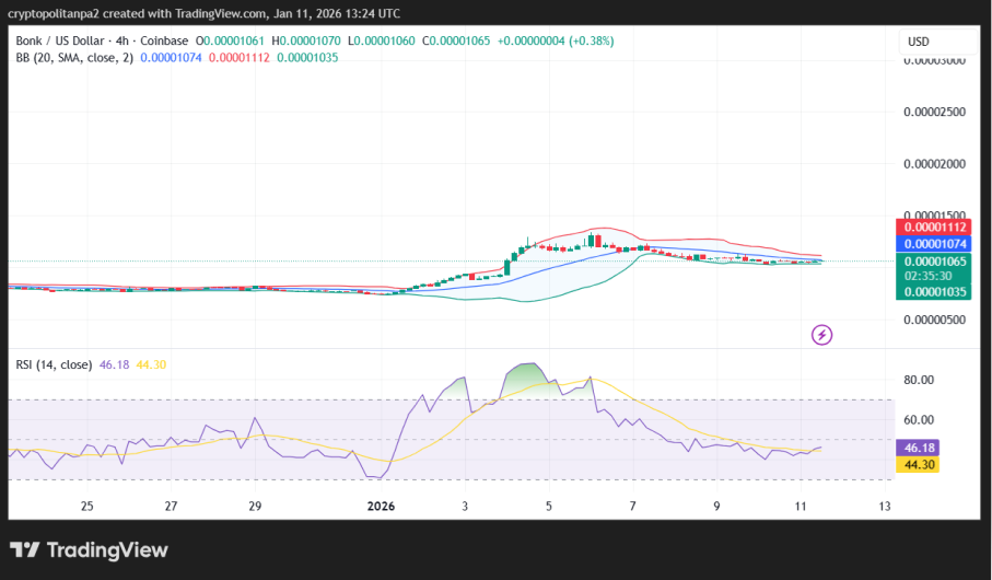 Grafico dei prezzi BONK/USD a 4 ore.
