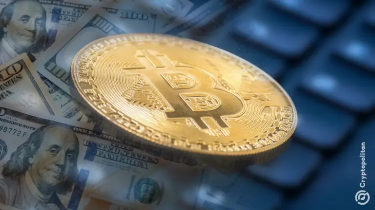 금융 자문가들이 암호화폐에 대한tron투자 의지를 보였으며, 99%가 2026년에도 암호화폐 투자 비중을 유지하거나 늘릴 계획이라고 밝혔습니다.