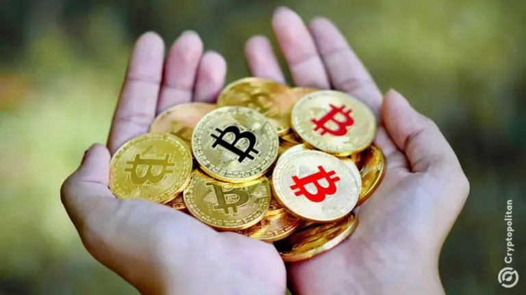 Les organisations caritatives sud-coréennes privilégient les dons en cryptomonnaie en un clic.