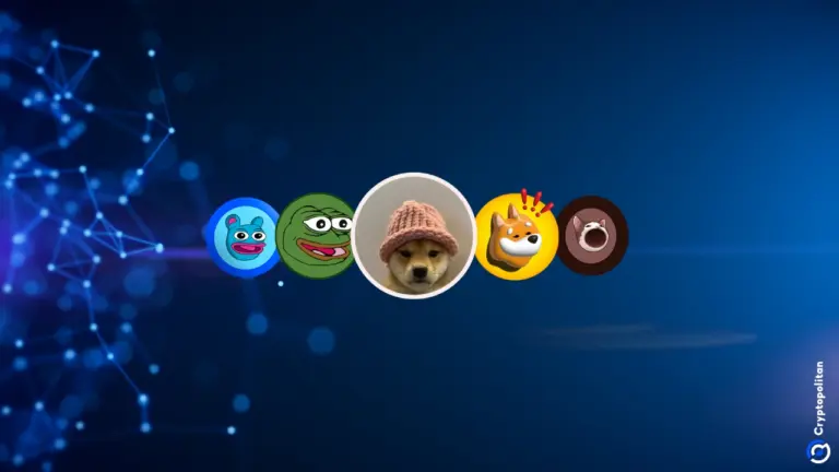 CoinGecko indique que 11,6 millions de jetons ont échoué en un an, principalement à cause des krachs de cryptomonnaies liées à des mèmes.