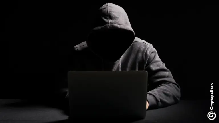 Des organisations criminelles chinoises ont commercialisé les arnaques sentimentales liées à l'abattage de porcs, notamment via de faux sites de trading.