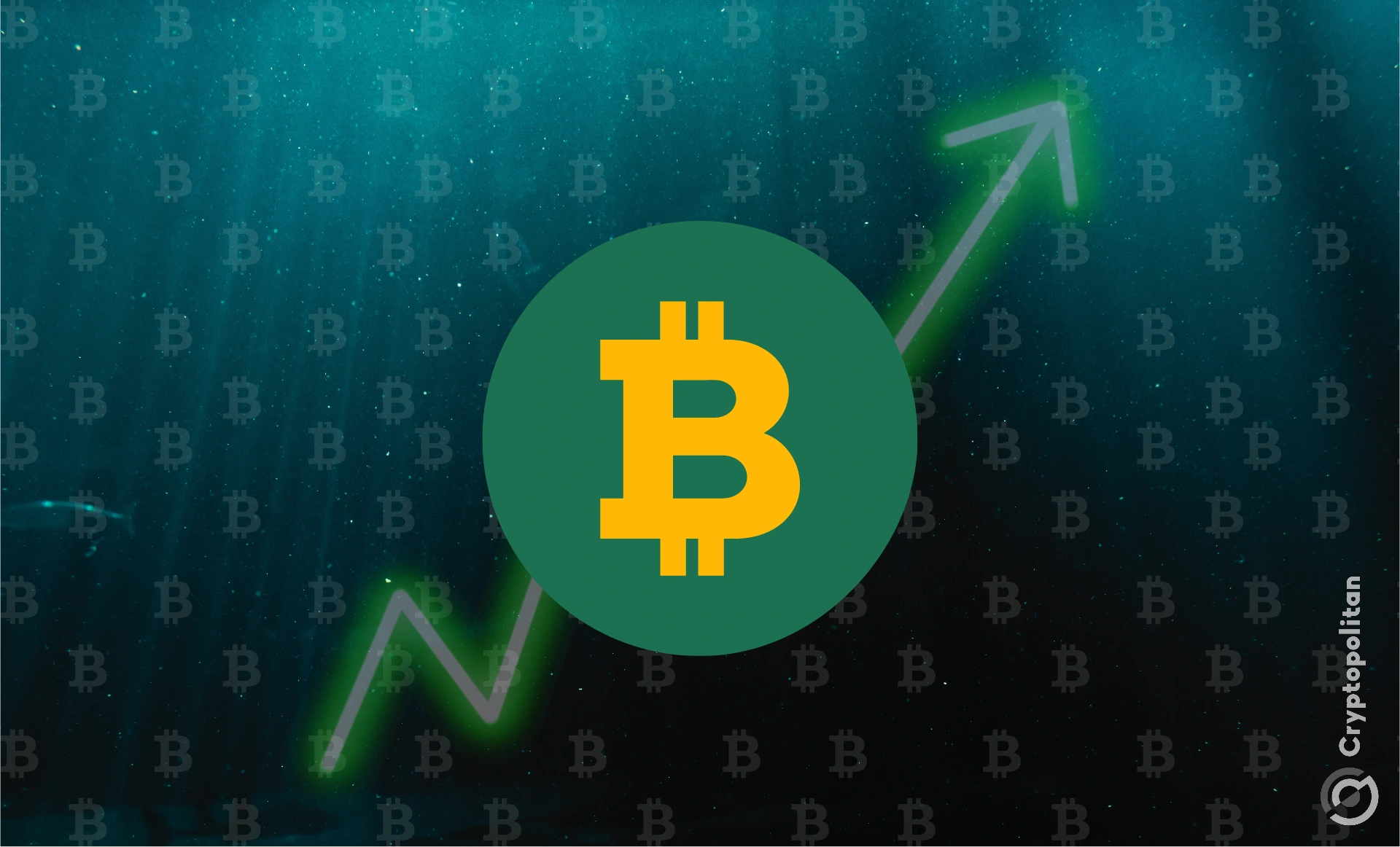 Crypto fund inflows reach $533M, Bitcoin outperforms Ethereum: CoinShares